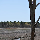DSC_0455.JPG