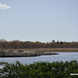 DSC_0471.JPG