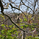 DSC_0488.JPG