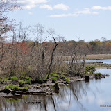 DSC_0491.JPG