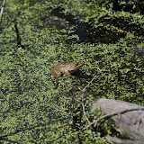 DSC_0493.JPG