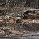 DSC_0503.JPG
