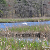 DSC_0567.JPG