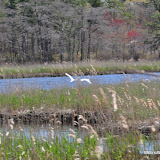 DSC_0568.JPG