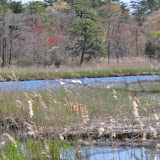 DSC_0571.JPG