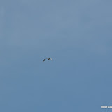 DSC_0572.JPG