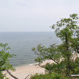 DSC_0526.JPG