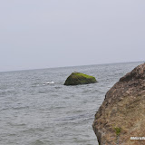 DSC_0562.JPG