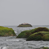DSC_0574.JPG