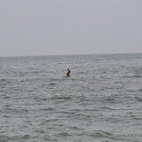 DSC_0581.JPG