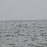 DSC_0583.JPG