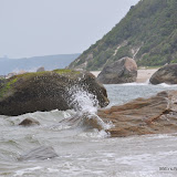 DSC_0606.JPG