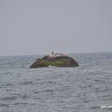 DSC_0609.JPG