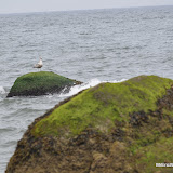 DSC_0713.JPG