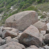 DSC_0643.JPG