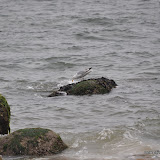 DSC_0651.JPG