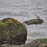 DSC_0656.JPG