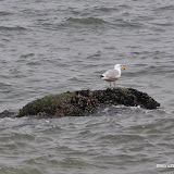DSC_0671.JPG