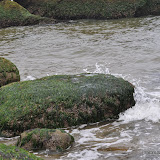 DSC_0724.JPG