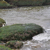 DSC_0725.JPG