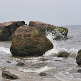 DSC_0732.JPG