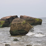 DSC_0737.JPG