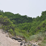 DSC_0741.JPG