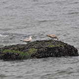 DSC_0745.JPG