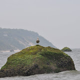 DSC_0747.JPG
