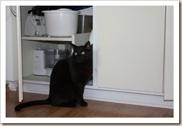 IMG_0050