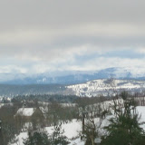 2008 12 30 moving xmas 025.jpg