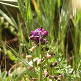 dscn0043.jpg