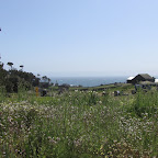 IMG_0779.JPG