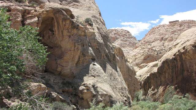 IMG_3643.JPG