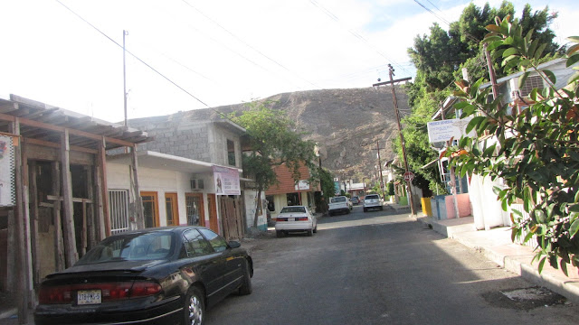 IMG_4309.JPG