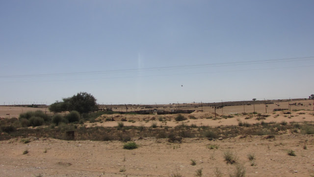 IMG_9622.JPG