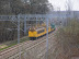 PB130211.JPG