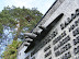 P5022532.JPG