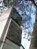 P5022542.JPG