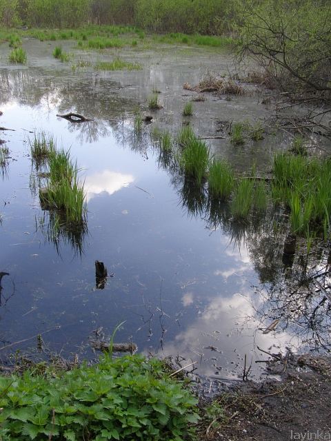 P4242265.JPG