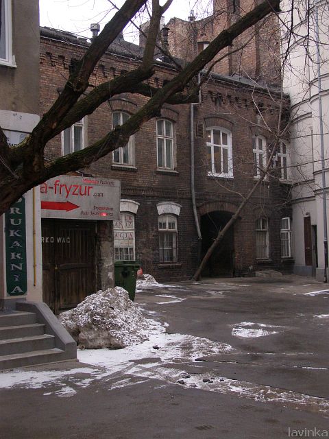 P3051019.JPG
