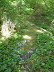P5205232.JPG
