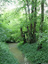 P5205251.JPG