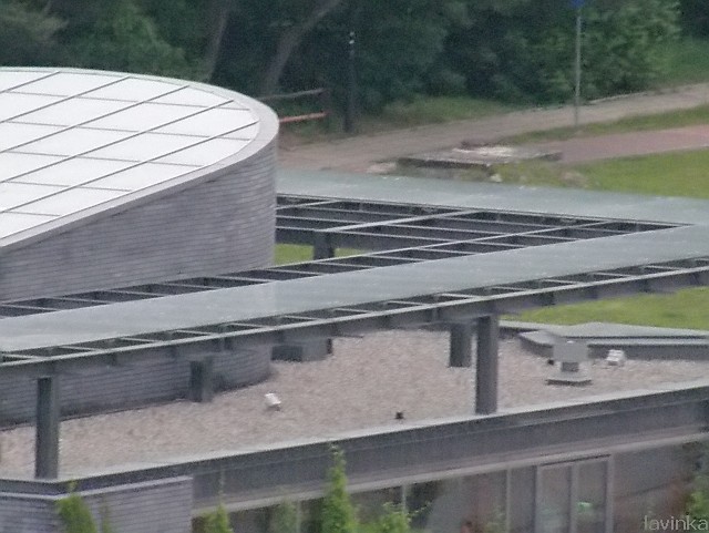 P6016073.JPG