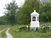 P5306022.JPG