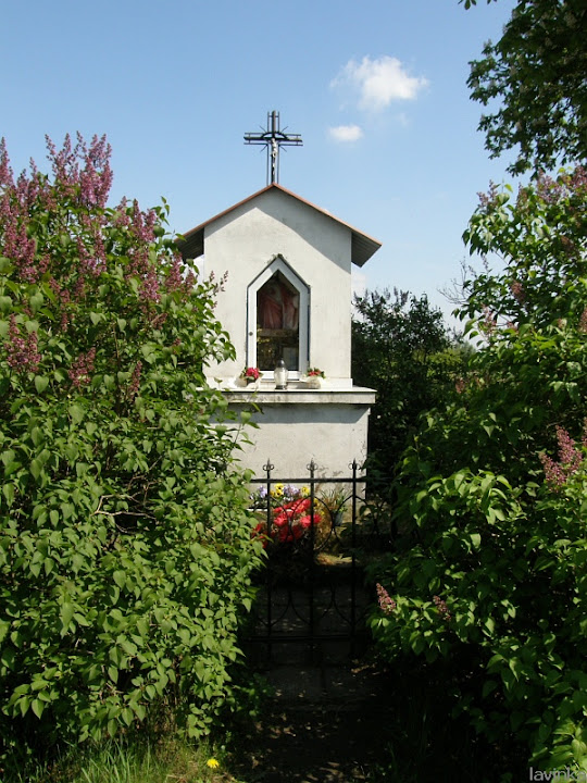 P5084960.JPG