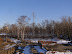 P3041008.JPG