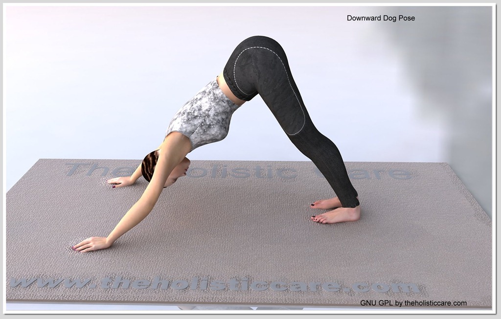 [Downward-Dog-Yoga-Pose[2].jpg]