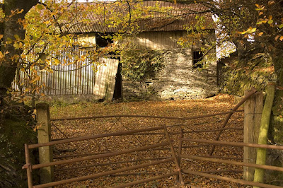 Devon Photos Devon Photos