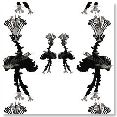 ellipopp.com_P127-04_crazy ostrich-b&pink.jpg